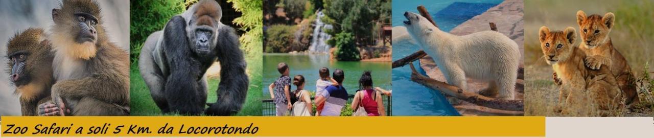 Vakantiehuis Do Pruinc